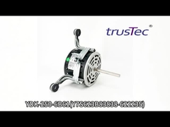 Vídeo de Teste do Motor YDK-250-6B61 da Changzhou Trustec